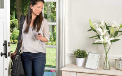 Do home security systems deter burglars in indianapolis?