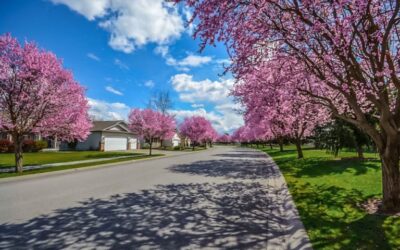 Your indianapolis home security system can protect against these additional threats